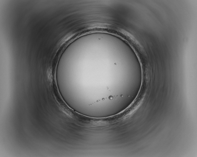 X0000114241113200910161627