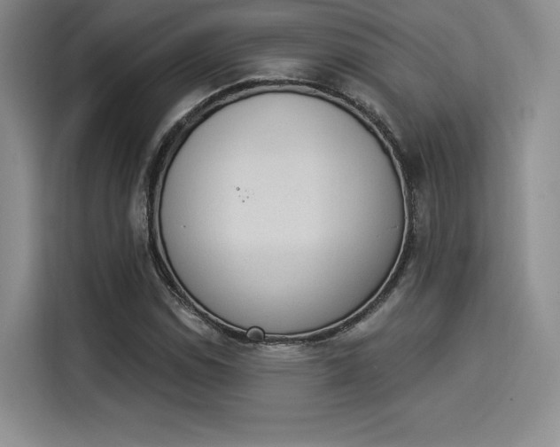 X0000114241114200910161627