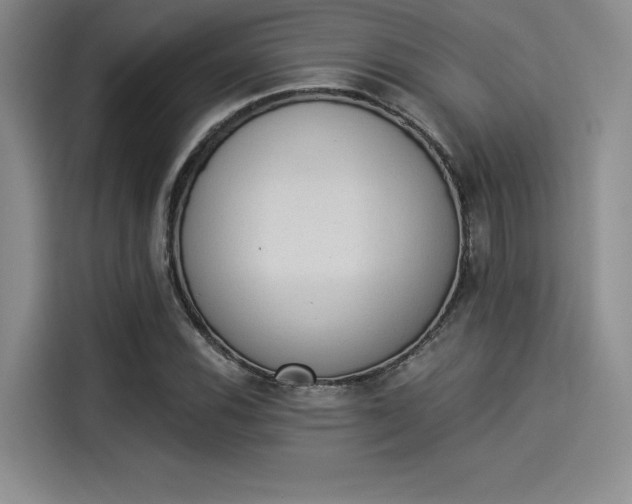 X0000114241116200910161627