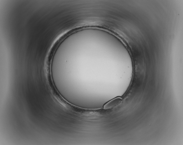 X0000114241119200910161627