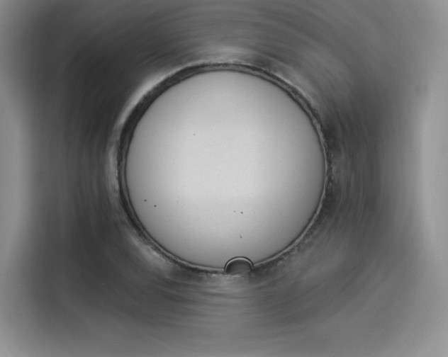 X0000114241120200910161627