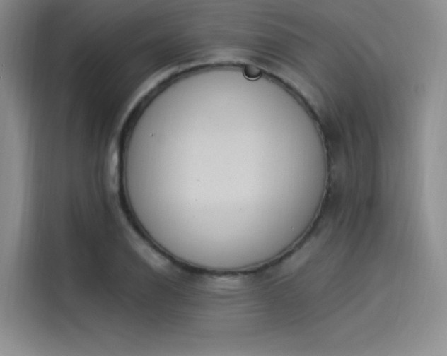 X0000114241126200910161627