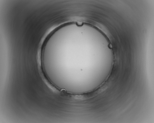 X0000114241128200910161627