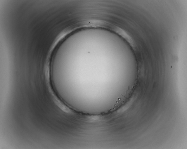 X0000114241130200910161627