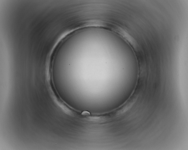 X0000114241132200910161627