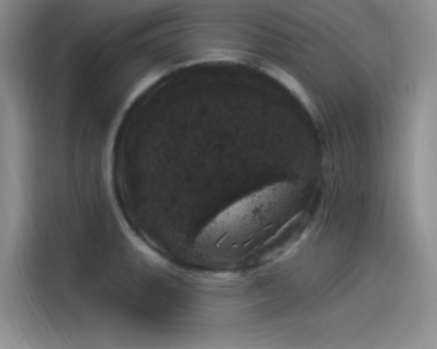 X0000114241135200910161627