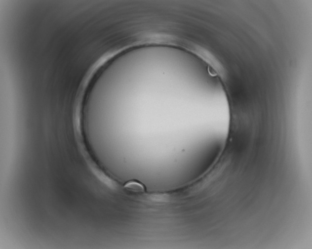 X0000114241136200910161627