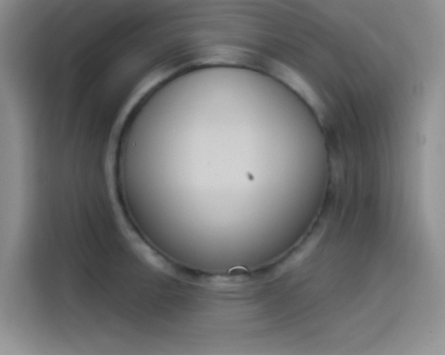 X0000114241138200910161627