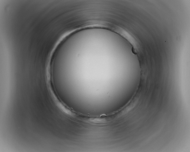 X0000114241140200910161627