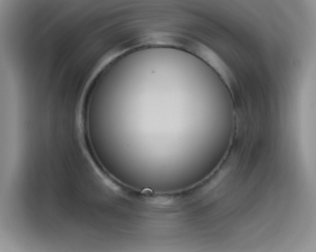 X0000114241141200910161627