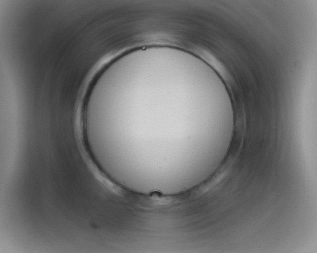 X0000114241144200910161627