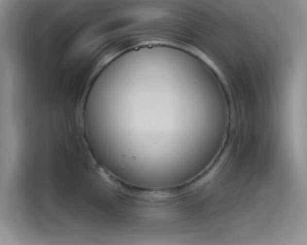 X0000114241145200910161627