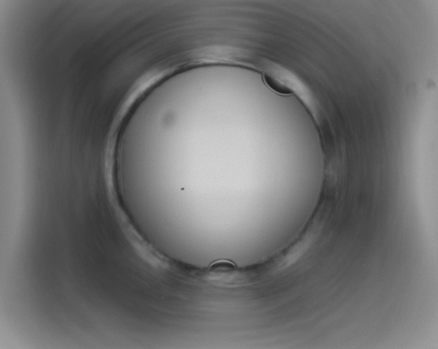 X0000114241146200910161627