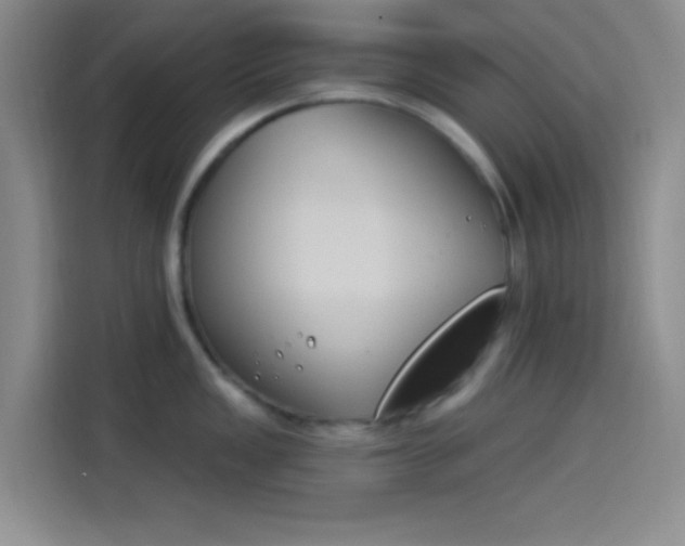 X0000114241149200910161627