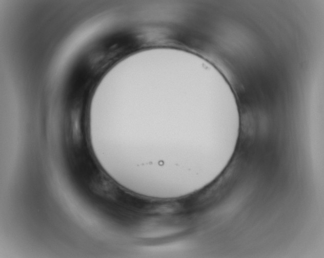 X0000114241150200910161627
