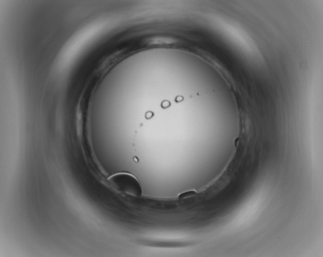 X0000114241151200910161628