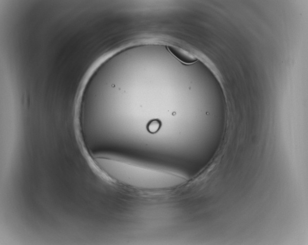 X0000114241152200910161628