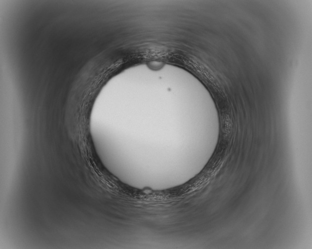 X0000114241153200910161627