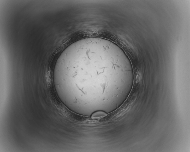 X0000114241156200910161627