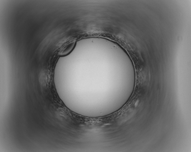 X0000114241157200910161627