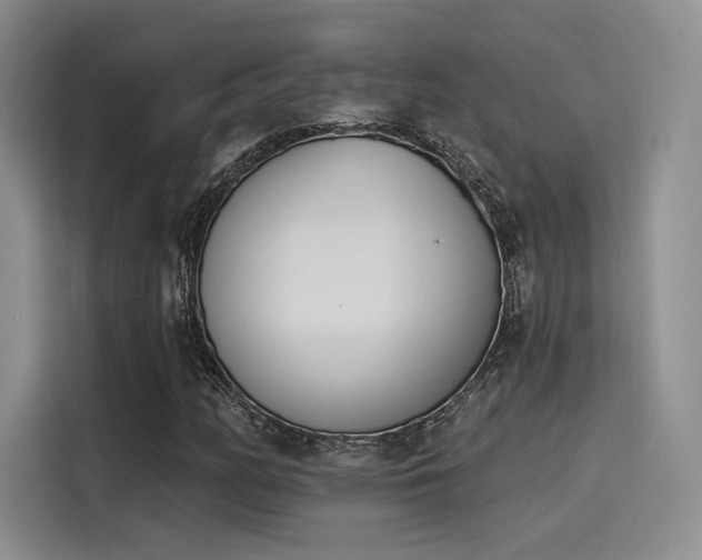 X0000114241158200910161627