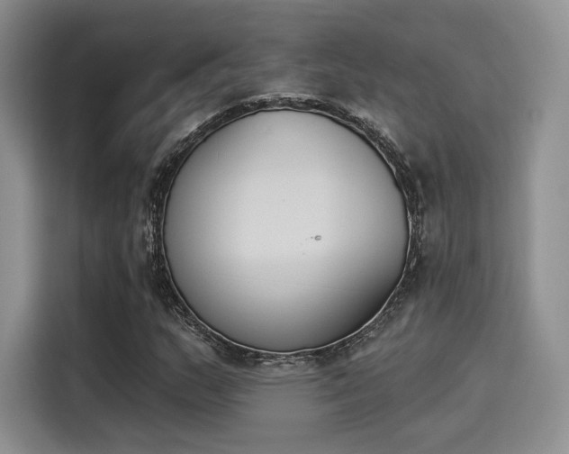 X0000114241159200910161627