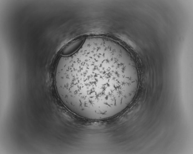 X0000114241160200910161627