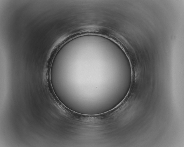 X0000114241164200910161627