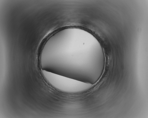 X0000114241165200910161627