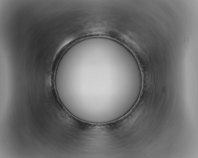 X0000114241166200910161627