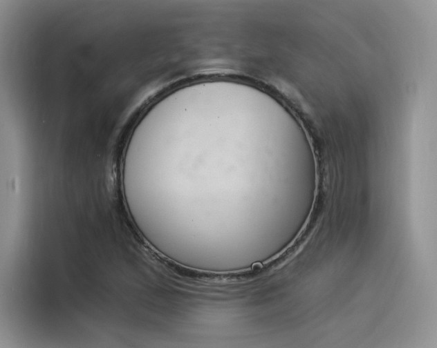 X0000114241167200910161627