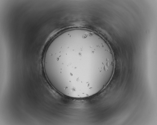 X0000114241168200910161627
