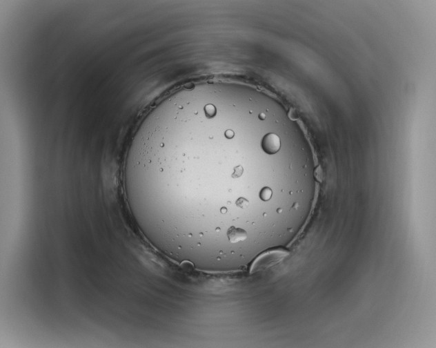 X0000114241169200910161627