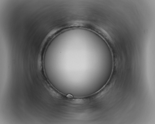 X0000114241172200910161627
