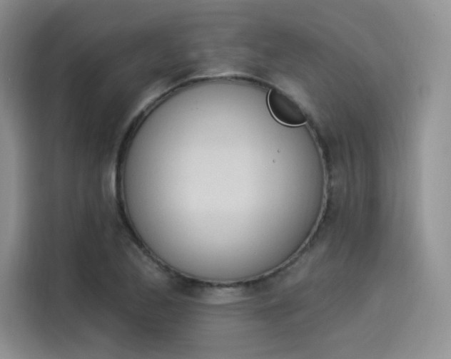 X0000114241173200910161627