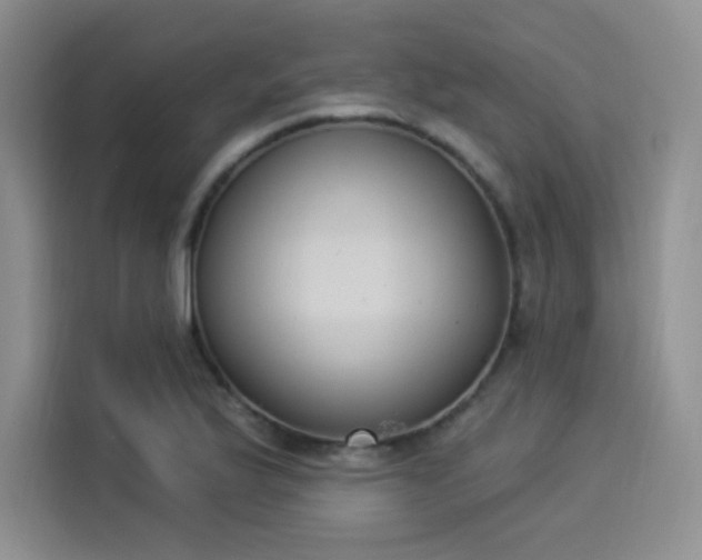 X0000114241175200910161626