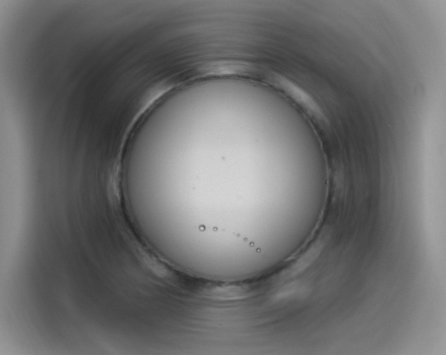 X0000114241178200910161626