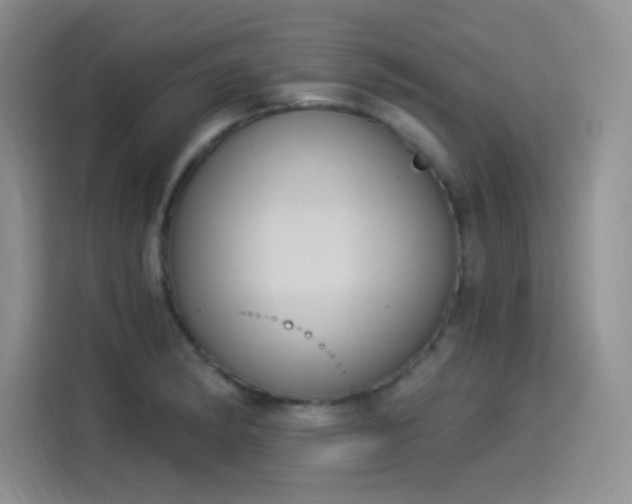 X0000114241182200910161626