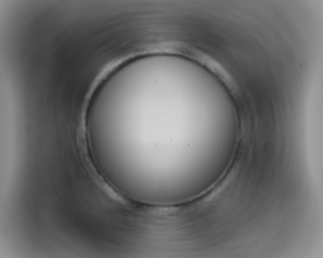X0000114241184200910161626