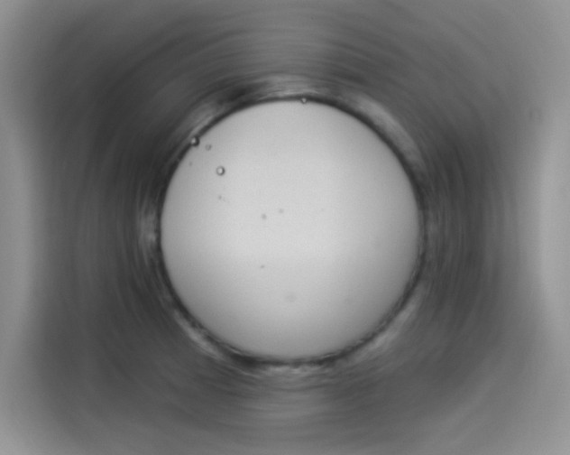 X0000114241185200910161626