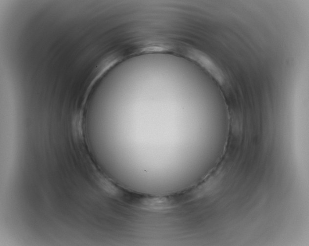 X0000114241186200910161626