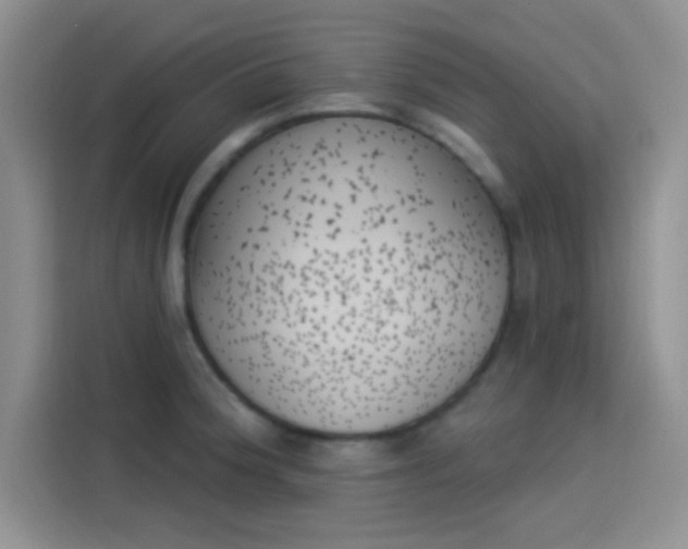 X0000114241188200910161626