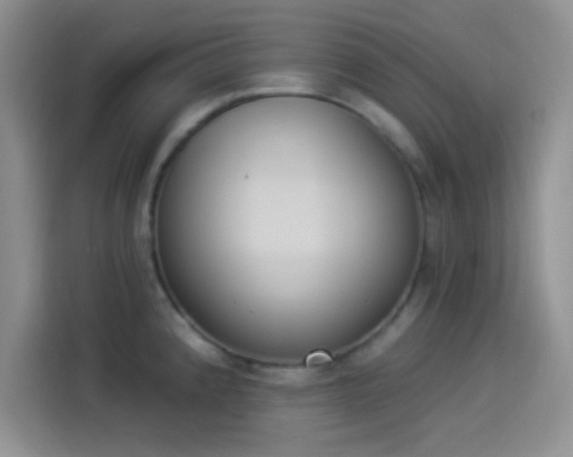 X0000114241192200910161626