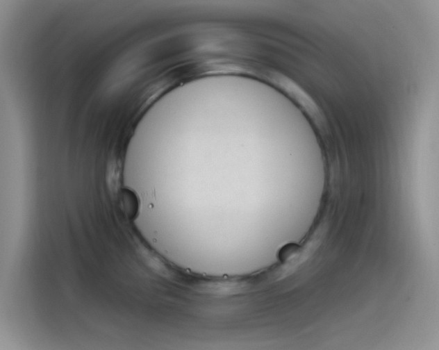 X0000114241193200910161626