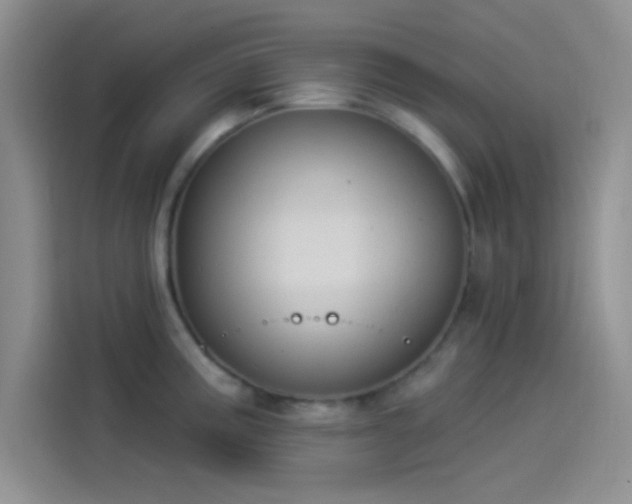 X0000114241195200910161626