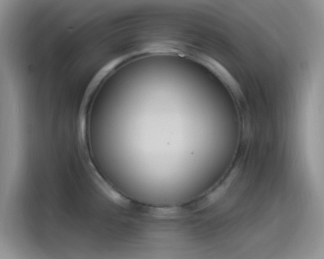 X0000114241196200910161626