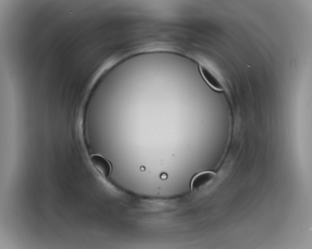 X0000114241197200910161626