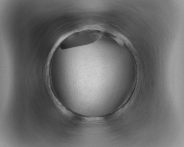 X0000114241200200910161626