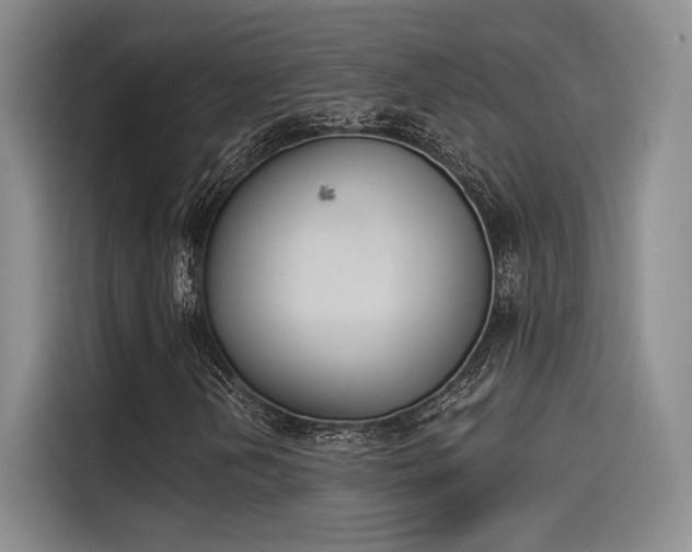 X0000114241202200910161625
