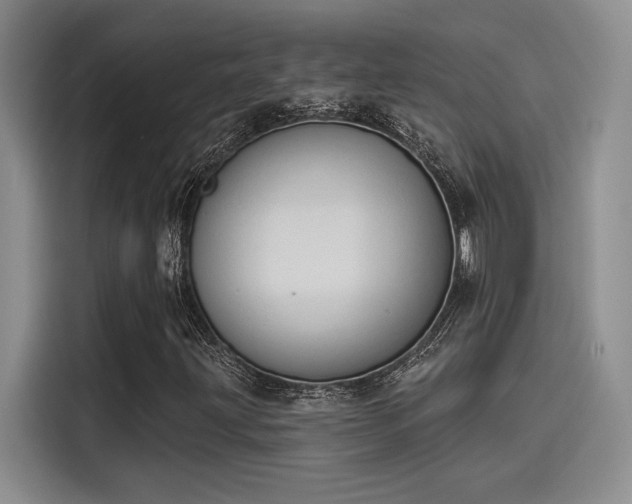 X0000114241203200910161625